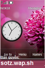 Theme Hồng hoa cho Nokia Asha 300/303, X3-02, C2-02, C2-03, C2-06, cảm ứng 